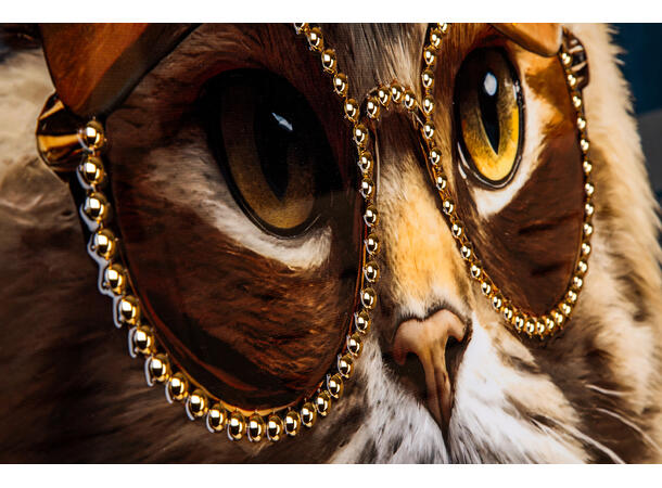 Lerretsbilde Katt Sheriff dekor 62x92cm Shiny foliert fototrykk med gullramme 