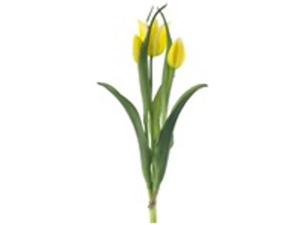 Tulipan bukett gule 40cm 