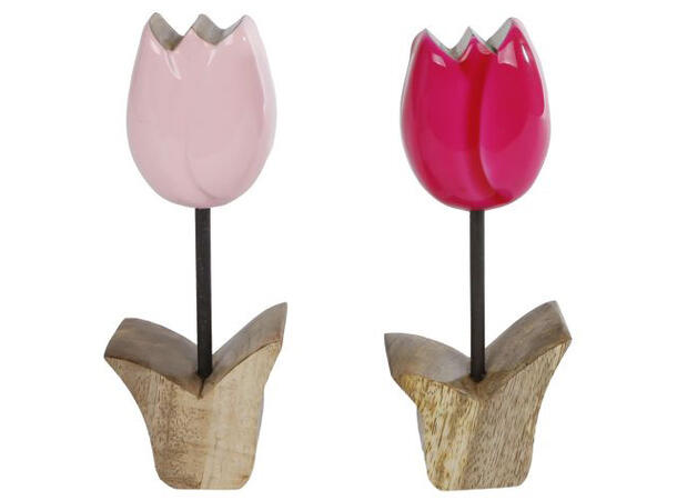 Tulipan mangotre rosa 7,5x3,5x18cm 2ass Forpakning: 12stk 