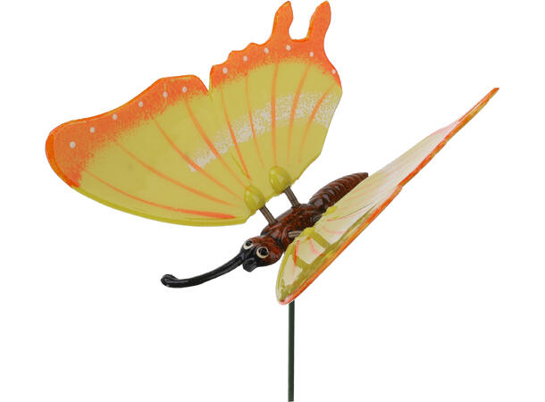 Blomsterpinne sommerfugl 15x17x66cm Forpk 36stk 6ass 