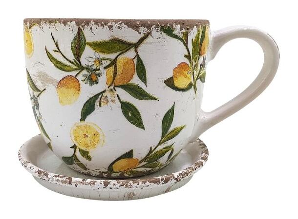 Blomsterpotte kopp m/sitron 21x15x13cm 
