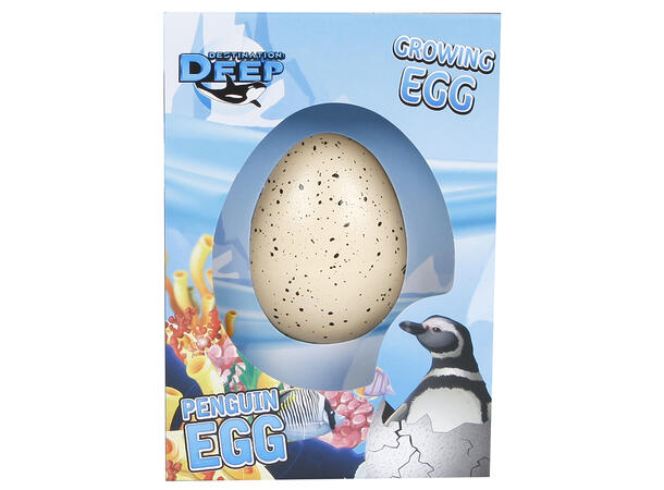 Egg med voksende pingvin 6cm 3ass Display 12 stk 