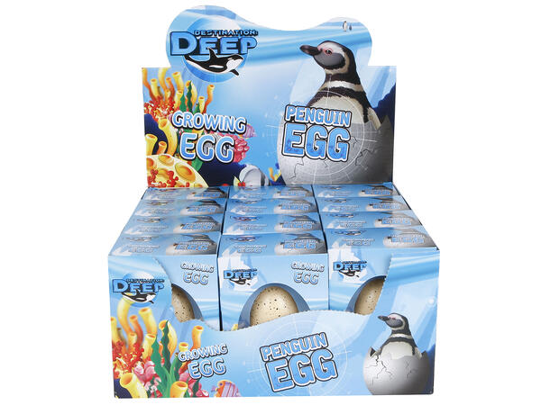 Egg med voksende pingvin 6cm 3ass Display 12 stk 