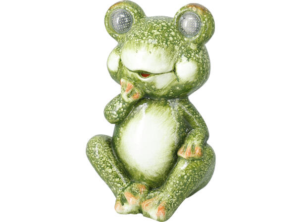 Hagedyr Solar MGO h:25-30cm 3ass Forpk 3stk 