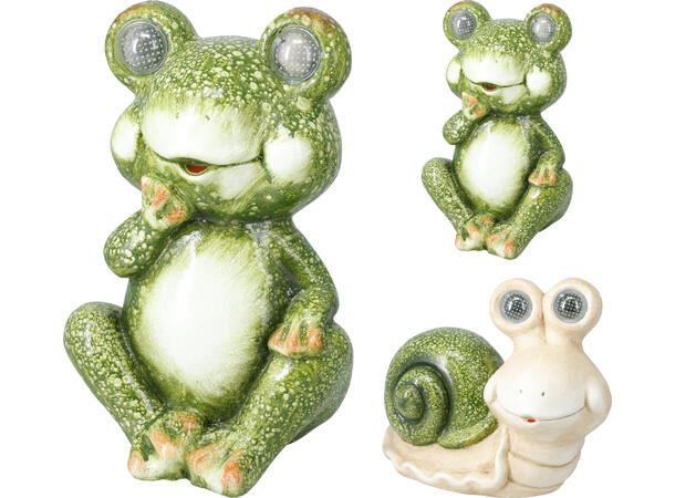 Hagedyr Solar MGO h: 25-30cm 3ass Forpk 3stk 