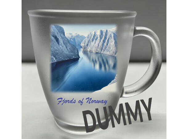 Krus frostet glass m/coaster Fjords 10cm 12x9x10cm. Glassbrikke i bambustre 