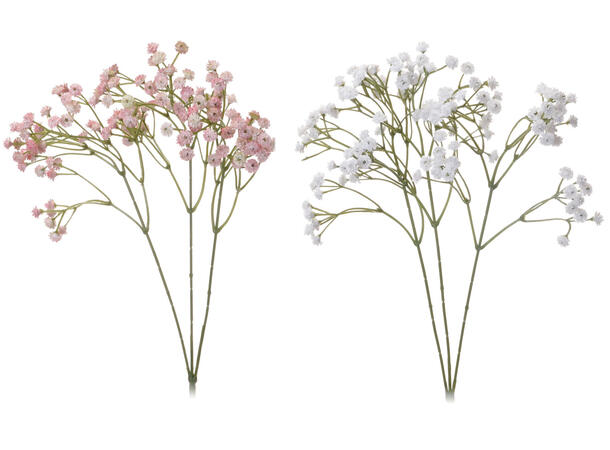Kvist Gypsophila blomst 68cm 2ass Forpakning: 36stk 