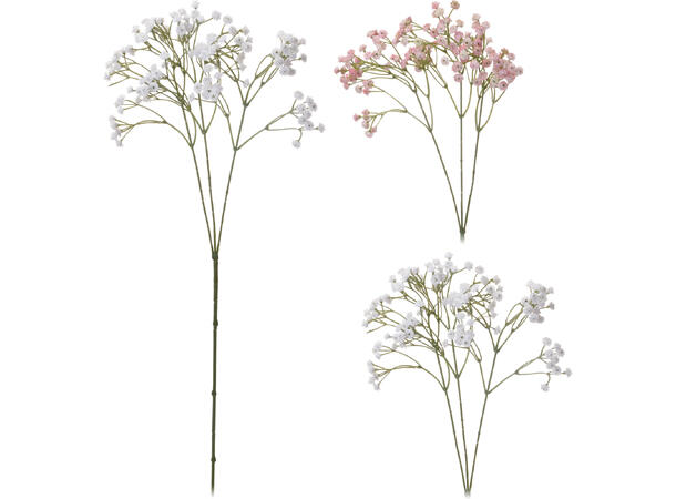 Kvist Gypsophila blomst 68cm 2ass Forpakning: 36stk 