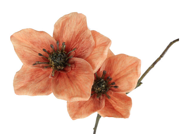 Kvist med blomst oransje PE 56cm 