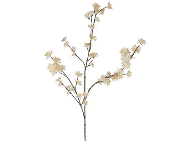 Kvist roseblomst krem 107cm 