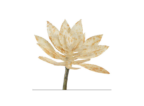 Kvist roseblomst krem 107cm 
