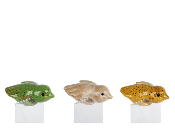 Pottepynt fugl keramikk 9x6x4cm 3ass Beige / gul / grønn 