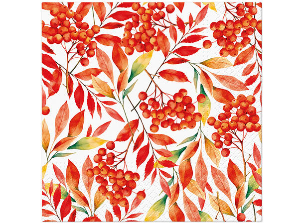 Serviett Rowan autumn Lunsjserviett 20 stk 3-lags 33x33cm 