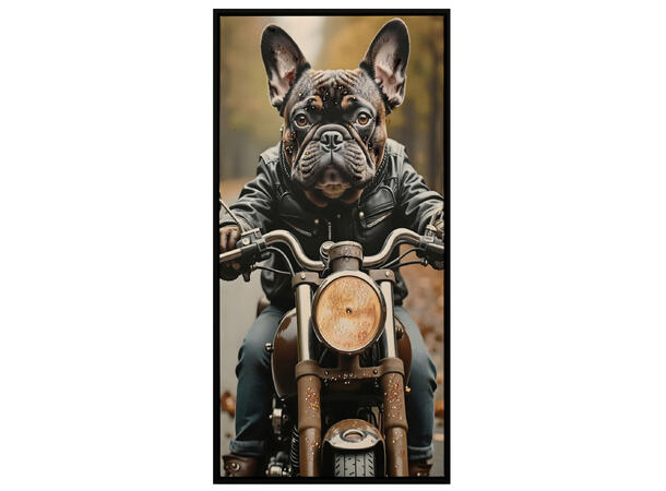 Bilde Lerretstrykk Hund på MC 30x60cm Shiny foliert fototrykk med sort ramme 