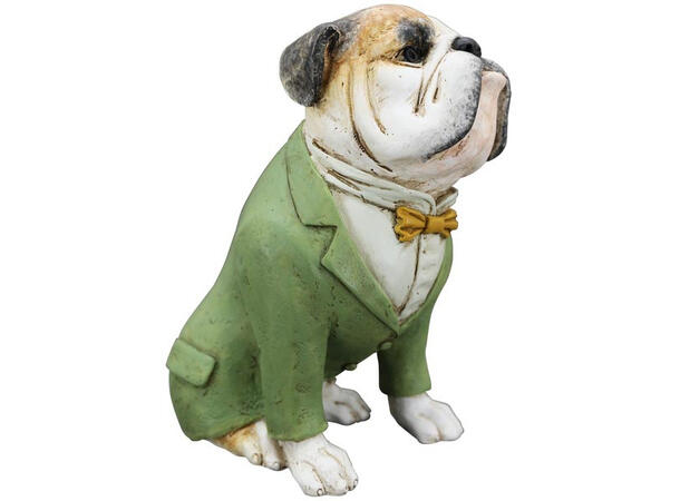 Bulldogge grønn jakke 22x12x23cm Polyresin 