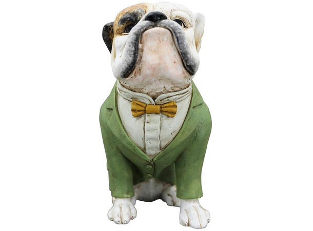 Bulldogge grønn jakke 22x12x23cm Polyresin 