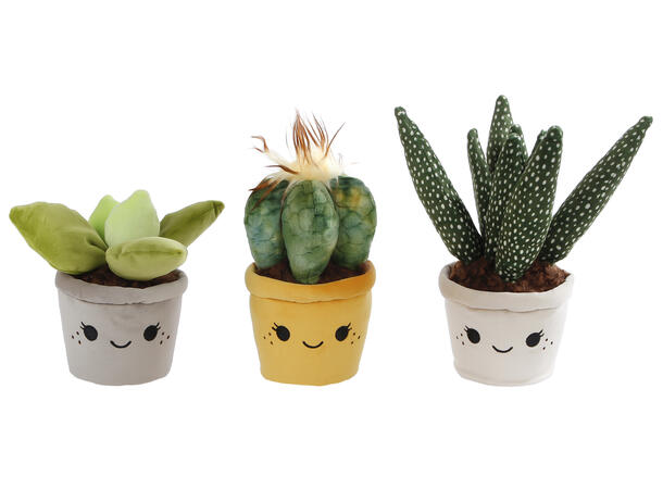 Dørstopper planter/kaktus 19-27cm 3ass 