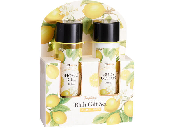 Gavesett Dusjsåpe og lotion 2x100ml 3ass 