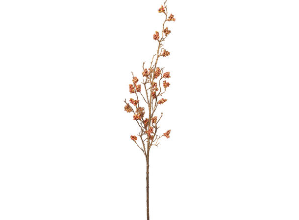 Kvist Bærgren høstfarger 85cm 2ass Forpk 24stk 