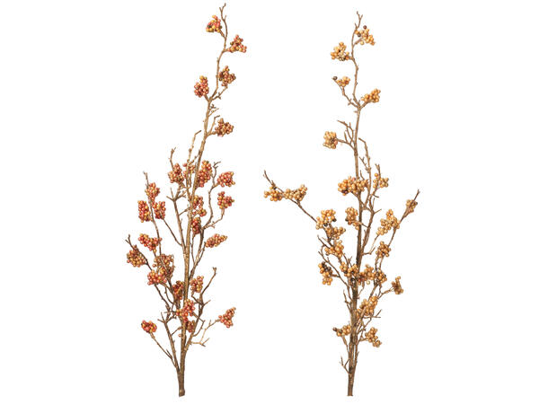 Kvist Bærgren høstfarger 85cm 2ass 