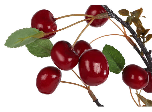 Kvist gren moreller rød/svart 62cm 2ass 