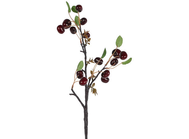 Kvist gren moreller rød/svart 62cm 2ass 