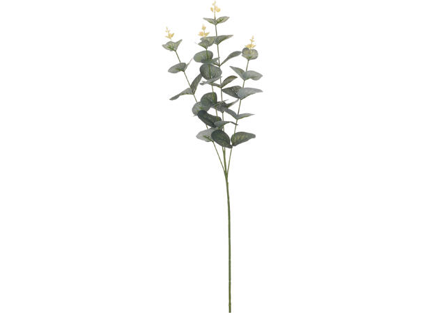 Kvist grønn eukalyptus 65cm Vekt:25gram 