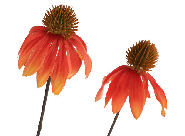 Kvist oransjerød blomster 82cm 