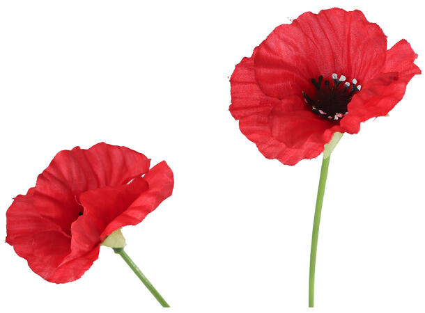 Kvist rød valmue 59cm 