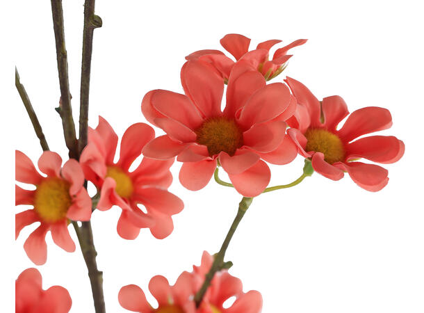 Kvist rød valmue 59cm 