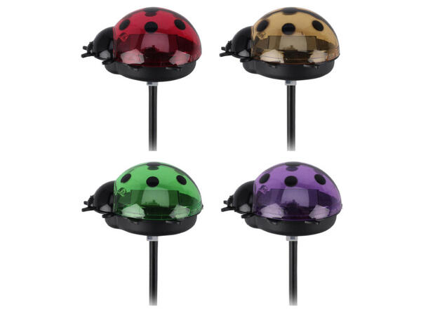 Marihøne Solar m/pinne 7,5x6x14cm 4ass Display 12stk Oppladbart batteri inkl. 