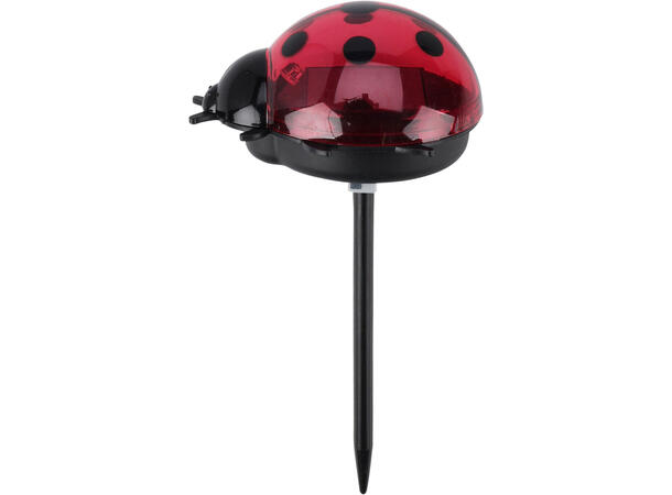 Marihøne Solar m/pinne 7,5x6x14cm 4ass Display 12stk Oppladbart batteri inkl. 