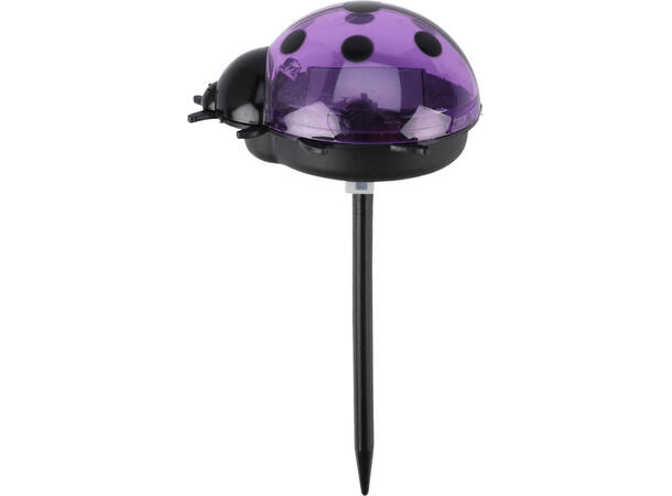 Marihøne Solar m/pinne 7,5x6x14cm 4ass Display 12stk Oppladbart batteri inkl. 