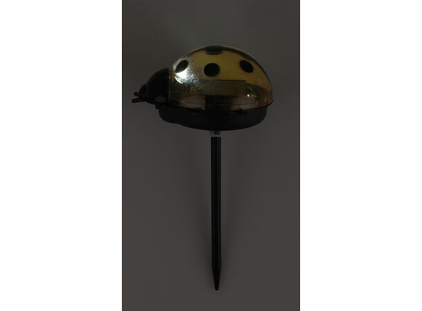 Marihøne Solar m/pinne 7,5x6x14cm 4ass Display 12stk Oppladbart batteri inkl. 