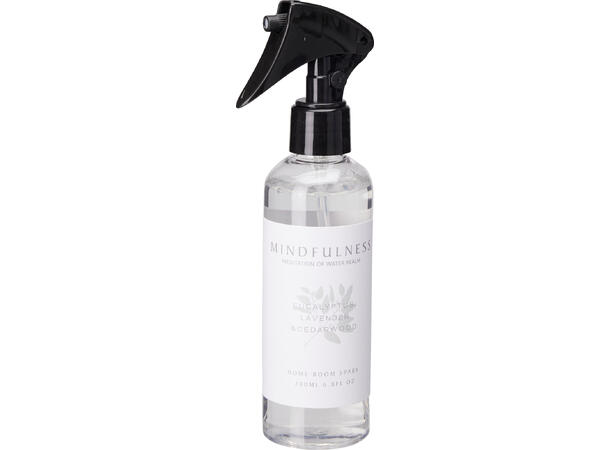 Romspray 200ml 4,8x14,5cm 4ass Display 12stk 