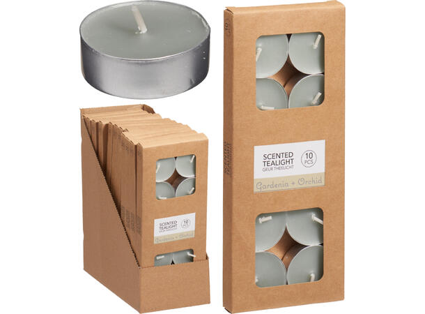 Telys Gardenia & Orchid grønn 10stk 4 timers brennetid 