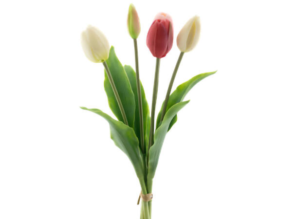 Tulipan bukett 36 cm 