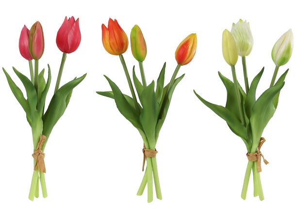 Tulipan bukett hvit/ora./rød 25cm 3ass 