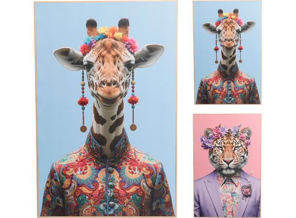 Bilde hipster ville dyr 58x38cm 4ass 