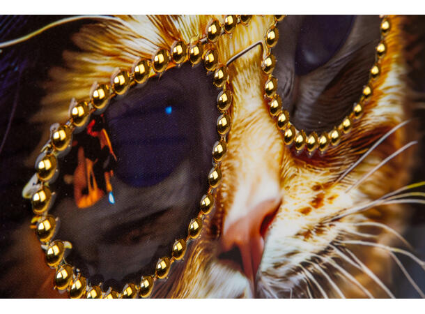 Bilde lerretstrykk tøff katt 42x82cm Shiny foliert fototrykk med gullramme 