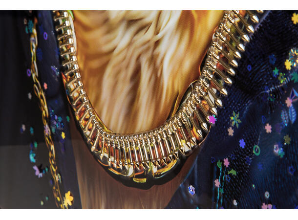 Bilde lerretstrykk tøff katt 42x82cm Shiny foliert fototrykk med gullramme 