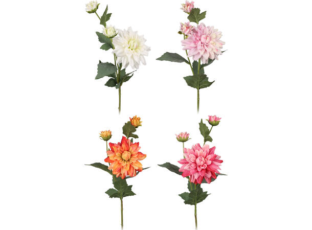 Blomst Georgine m/knopp 65cm 4ass Forpk 24stk 