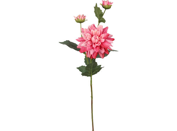 Blomst Georgine m/knopp 65cm 4ass 