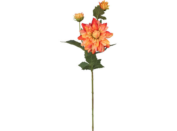 Blomst Georgine m/knopp 65cm 4ass 