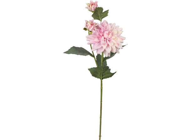 Blomst Georgine m/knopp 65cm 4ass 
