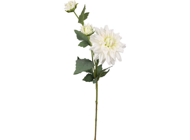 Blomst Georgine m/knopp 65cm 4ass 