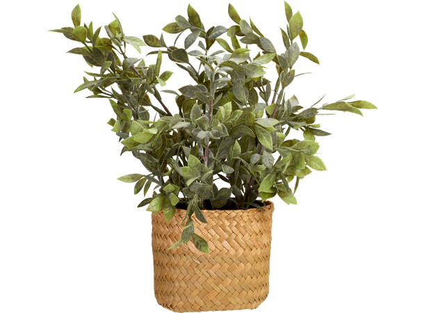 Blomst sjøgresskurv i potte 25x32cm 3ass 