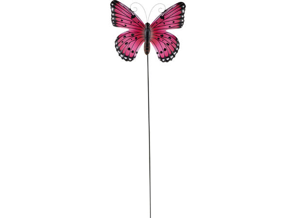 Blomsterpinne sommerfugl 25x80cm 6ass Display med 24stk 