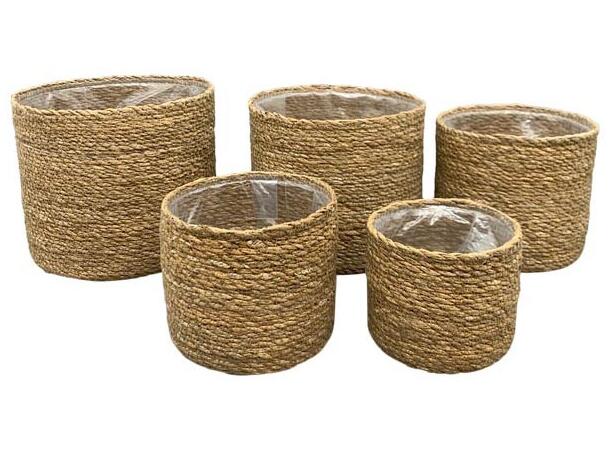 Blomsterpotte flettet m/plast s/5 12x10cm/14x12cm/16x14cm/18x16cm/20x18cm 