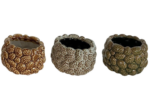 Blomsterpotte kongler brune 14x11cm 3ass 